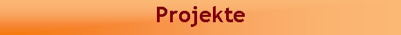 Textfeld: Projekte